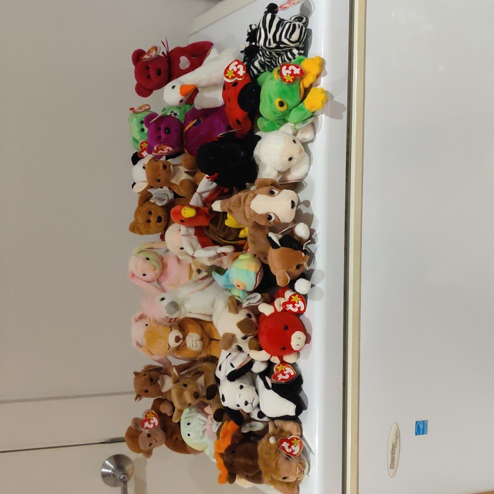 31 beanie babies and 3 teenie beanies